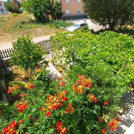 Apartment Zlatko 1397