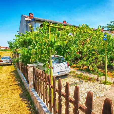 Zlatko 1397 斯廷佳