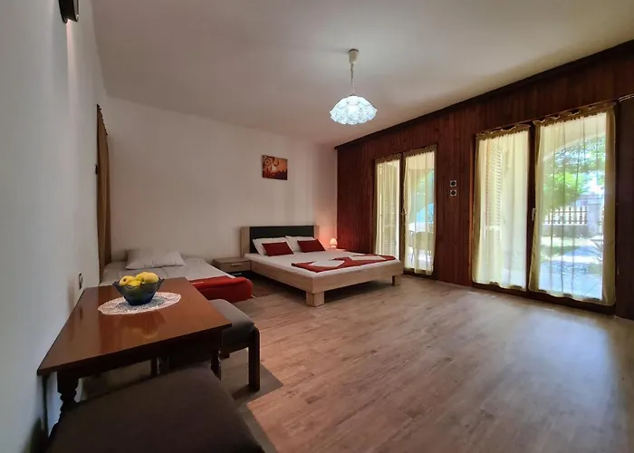 Apartamento Zlatko 1397