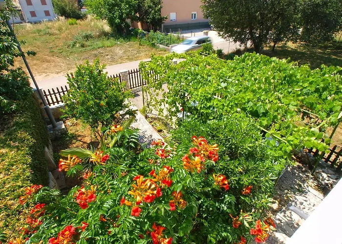 Apartamento Zlatko 1397